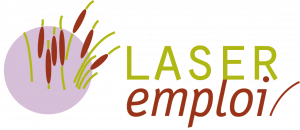 Logo Laser emploi